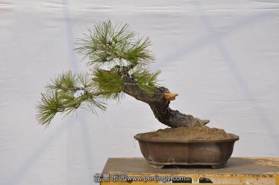 �ҵ��辰 011.jpg