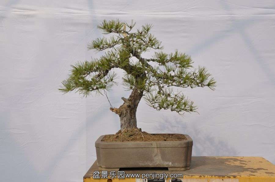 �ҵ��辰 013.jpg