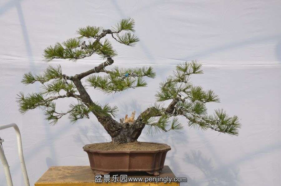 �ҵ��辰 015.jpg