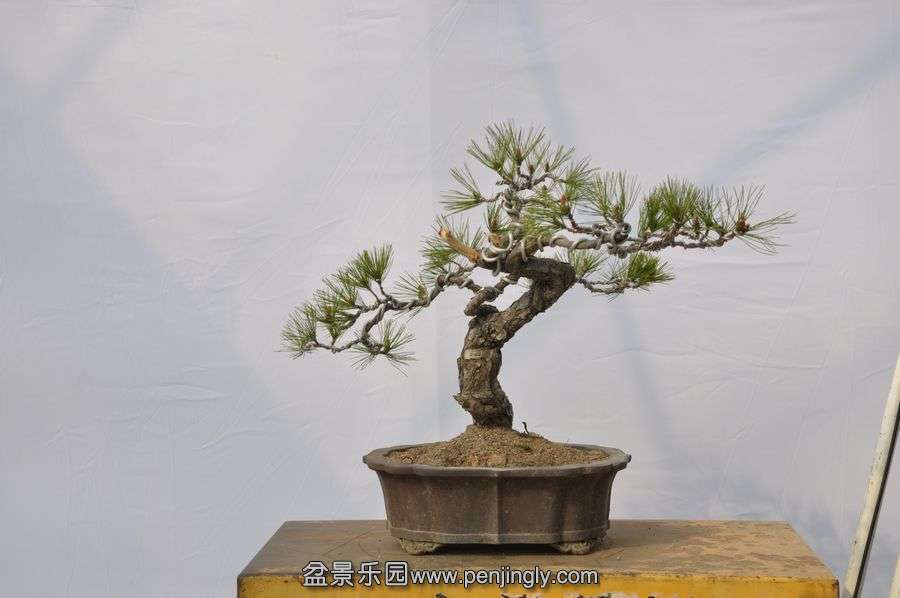 �ҵ��辰 019.jpg