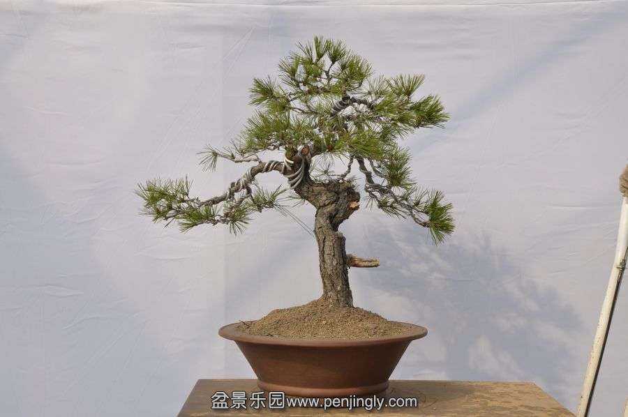 �ҵ��辰 022.jpg