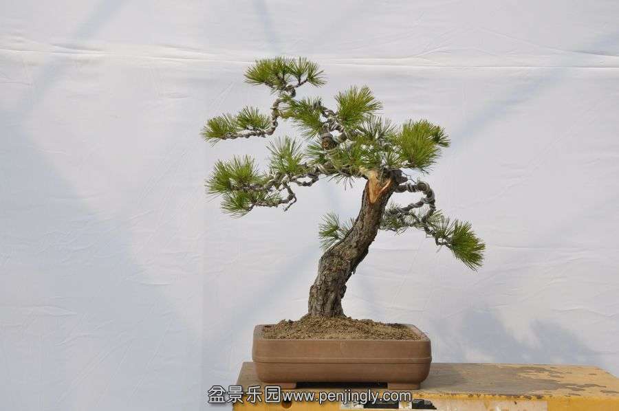 �ҵ��辰 025.jpg