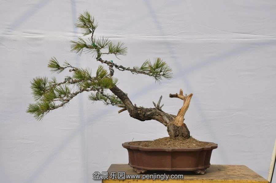 �ҵ��辰 008.jpg