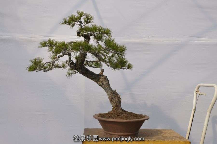 �ҵ��辰 029.jpg