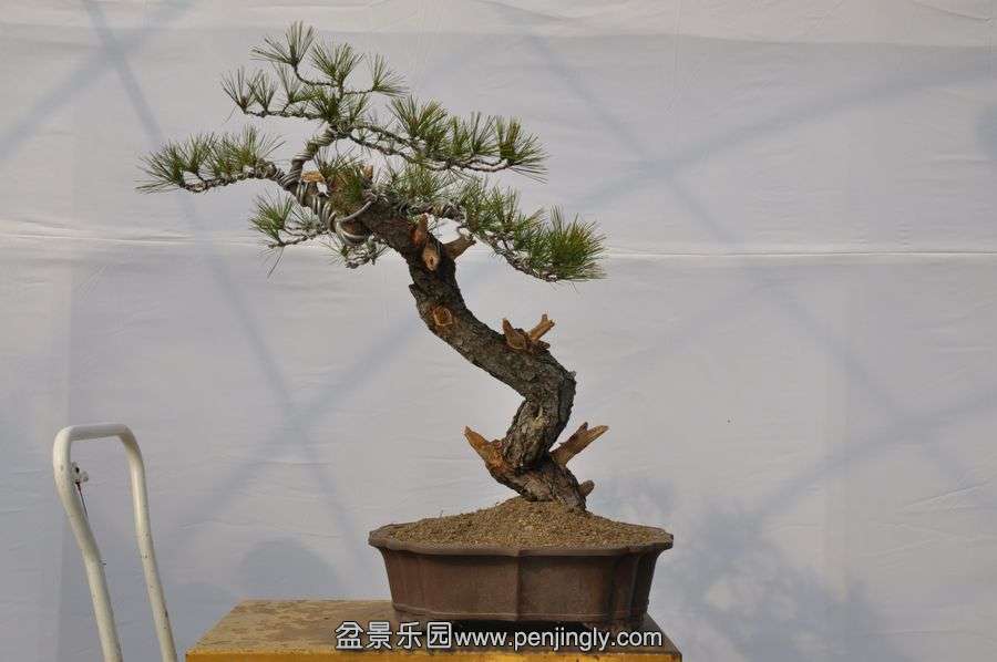 �ҵ��辰 030.jpg