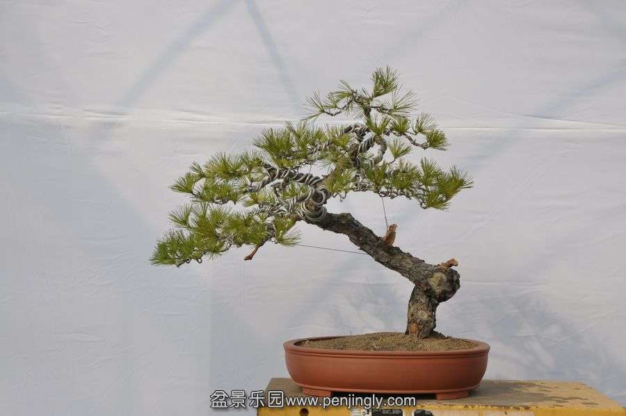 �ҵ��辰 032.jpg