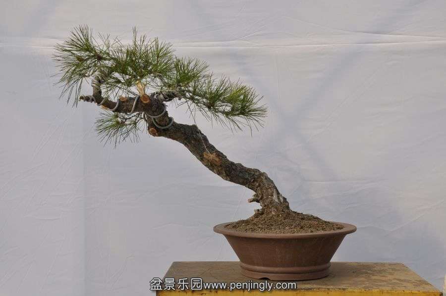 �ҵ��辰 037.jpg