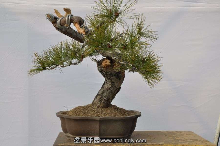 �ҵ��辰 038.jpg