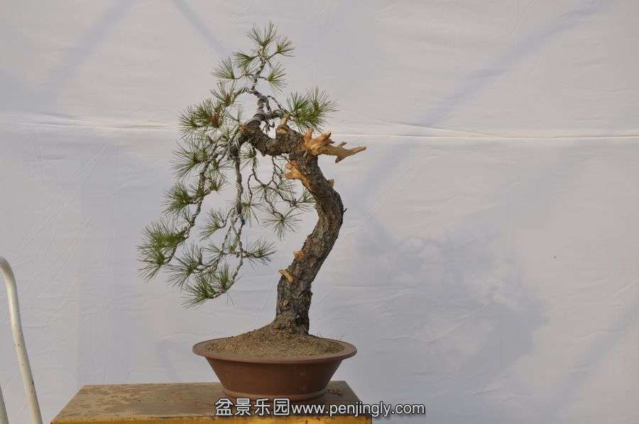 �ҵ��辰 044.jpg