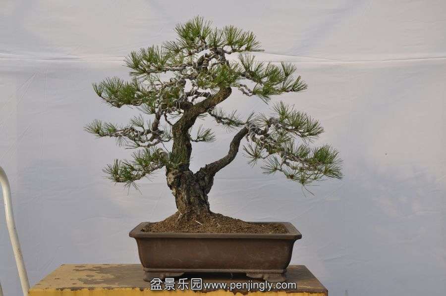 �ҵ��辰 047.jpg