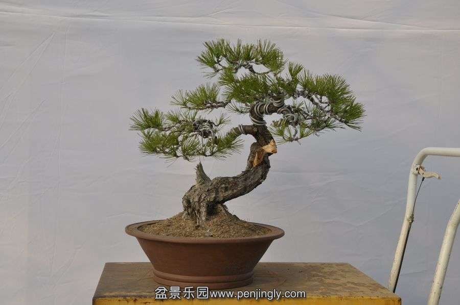 �ҵ��辰 050.jpg