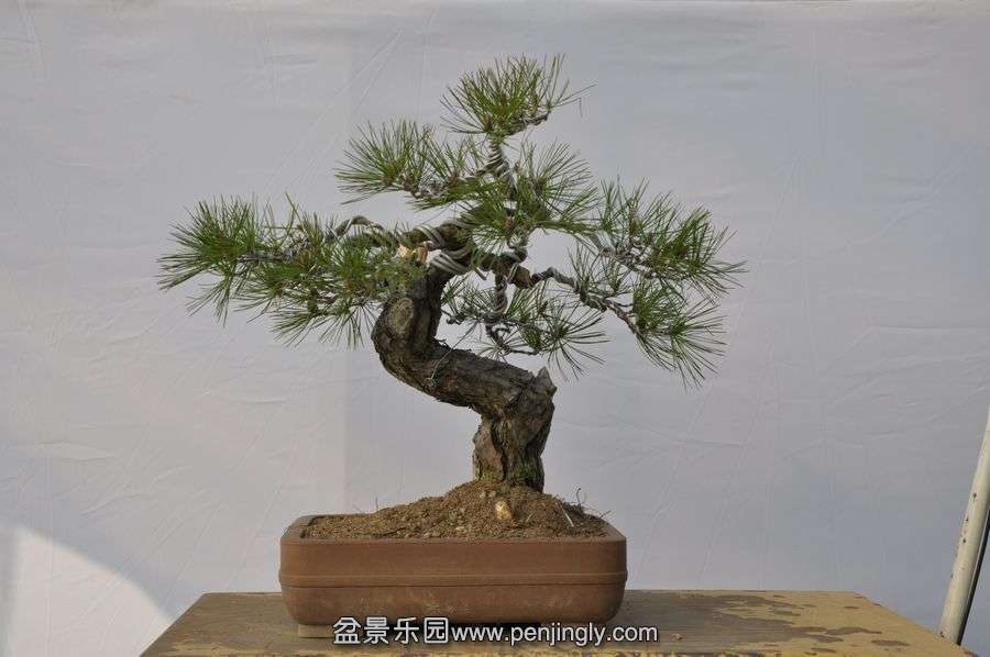 �ҵ��辰 052.jpg