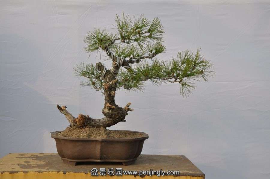 �ҵ��辰 054.jpg