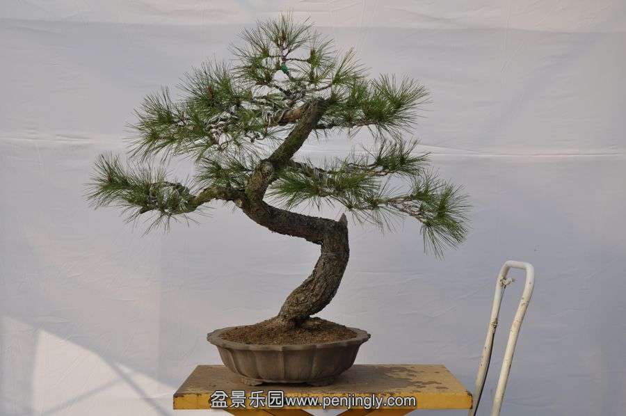 �ҵ��辰 056.jpg