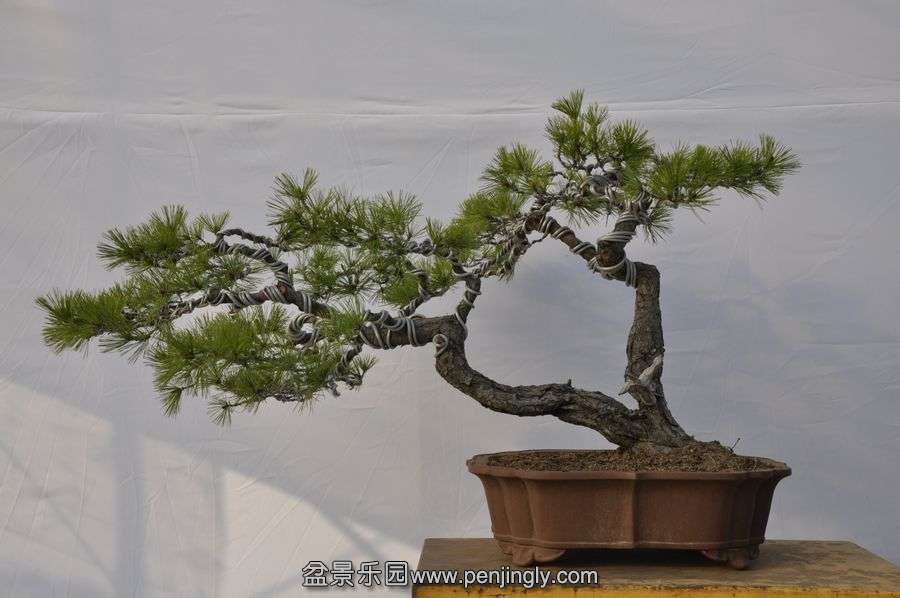 �ҵ��辰 060.jpg