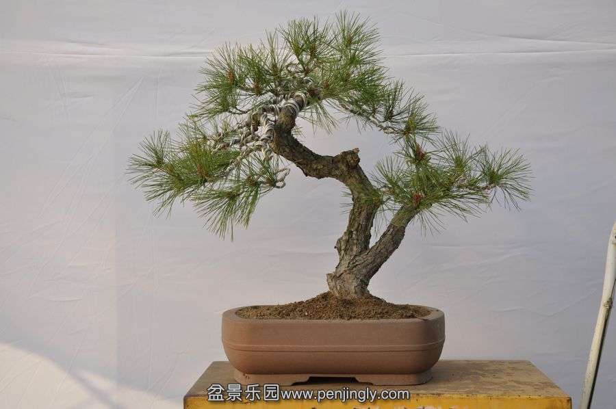 �ҵ��辰 061.jpg