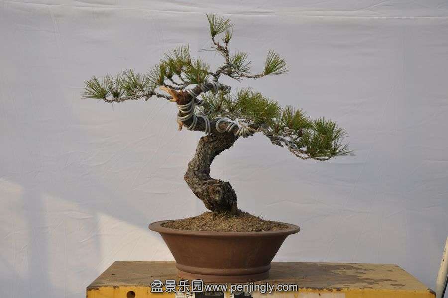 �ҵ��辰 063.jpg