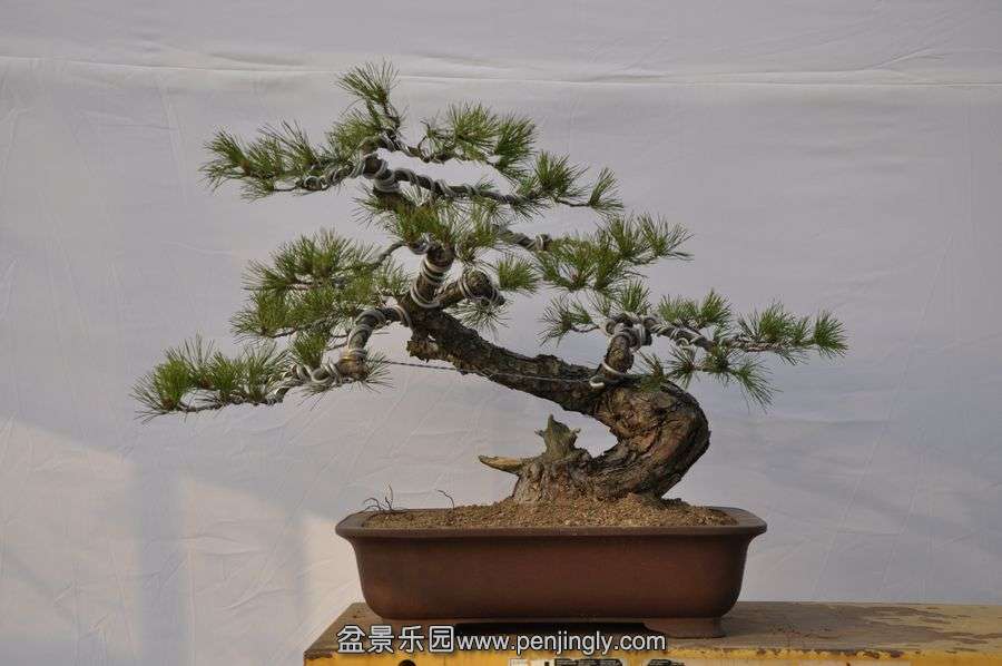 �ҵ��辰 068.jpg