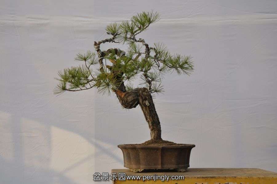 �ҵ��辰 070.jpg