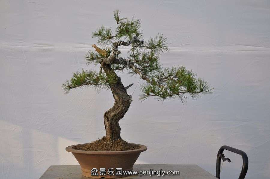 �ҵ��辰 072.jpg