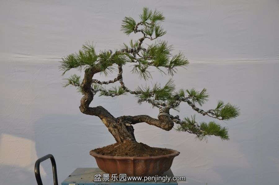 �ҵ��辰 074.jpg