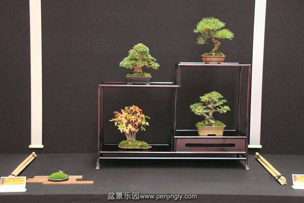 European Bonsai-San Show Saulieu 2013 005.jpg