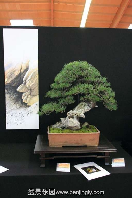 European Bonsai-San Show Saulieu 2013 039.jpg