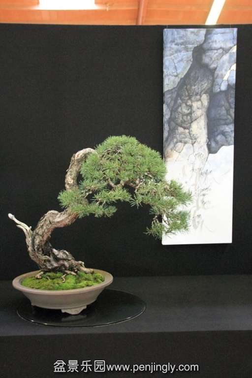 European Bonsai-San Show Saulieu 2013 040.jpg