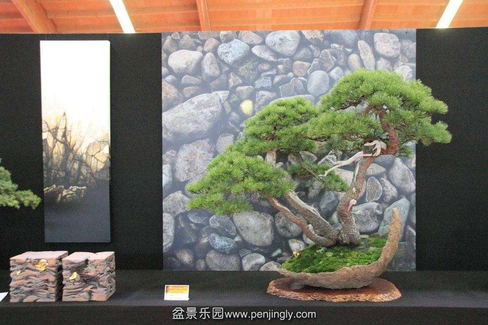 European Bonsai-San Show Saulieu 2013 041.jpg