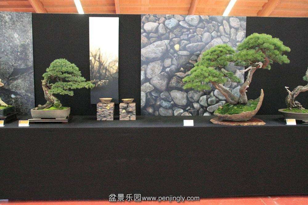 European Bonsai-San Show Saulieu 2013 049.jpg