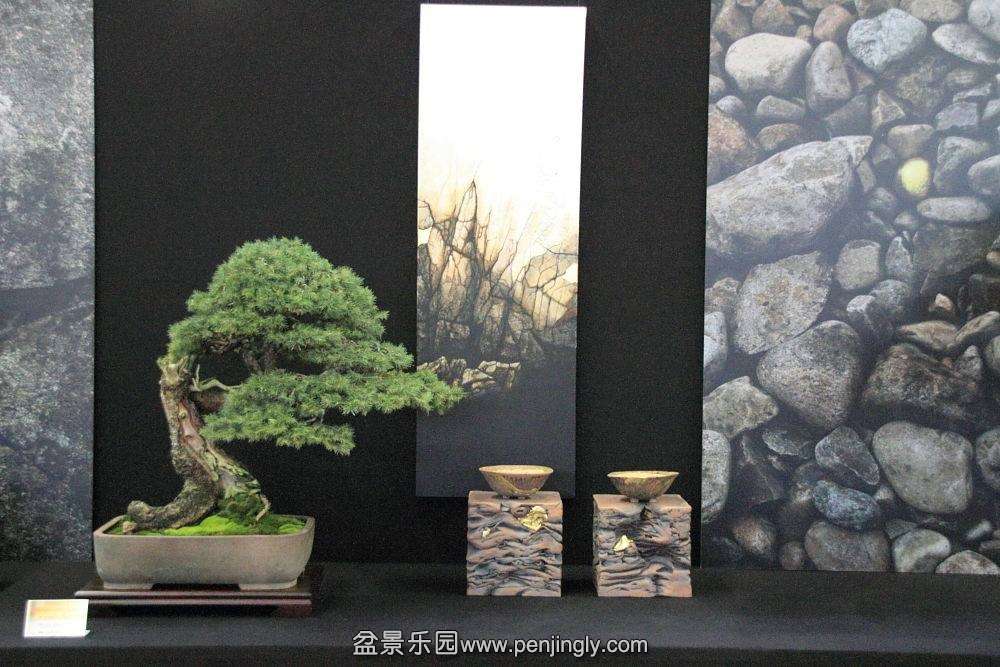 European Bonsai-San Show Saulieu 2013 051.jpg