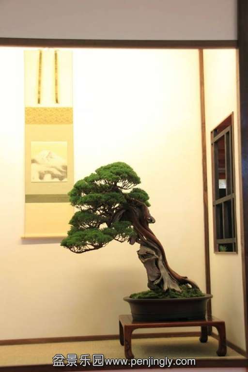 European Bonsai-San Show Saulieu 2013 070.jpg