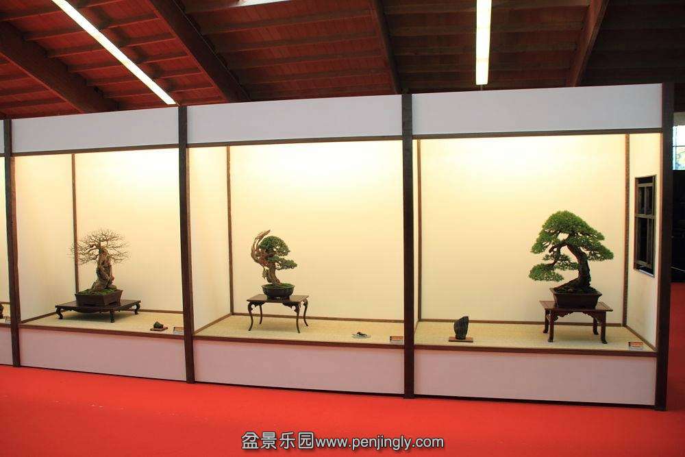 European Bonsai-San Show Saulieu 2013 103.jpg