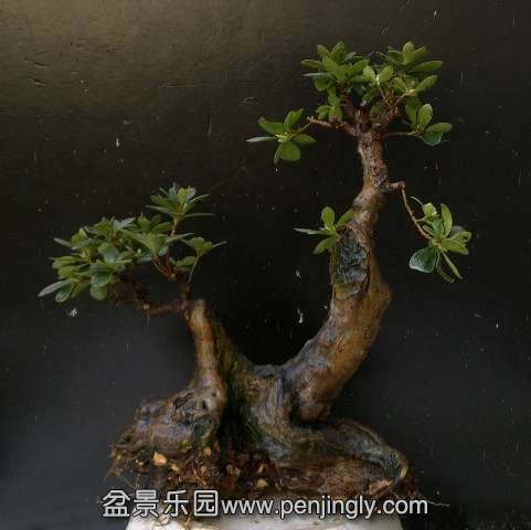 201403152262.jpg