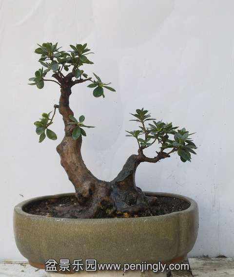 201403152266.jpg
