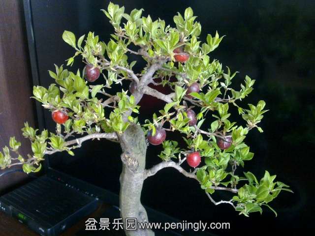 201403162272.jpg