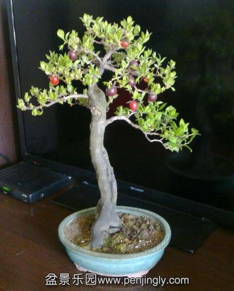 201403162271.jpg