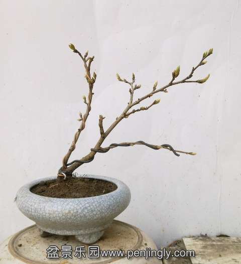 201403162275.jpg