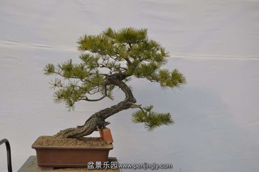 ҵ辰 037.jpg