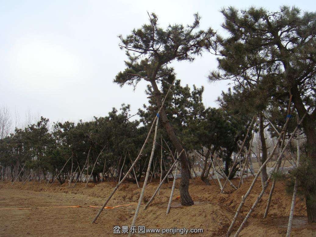 DSC07990.JPG