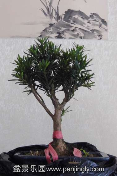 ޺бë.JPG