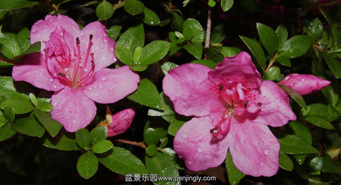 DSC07330.JPG