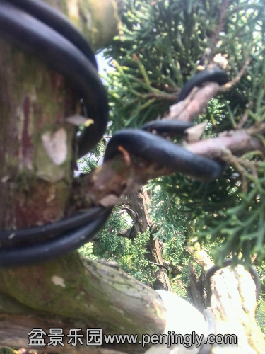 YP20140321122719.jpeg