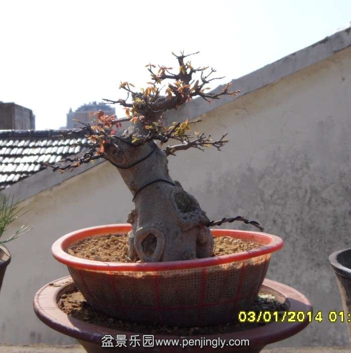QQͼƬ20140321233345.jpg