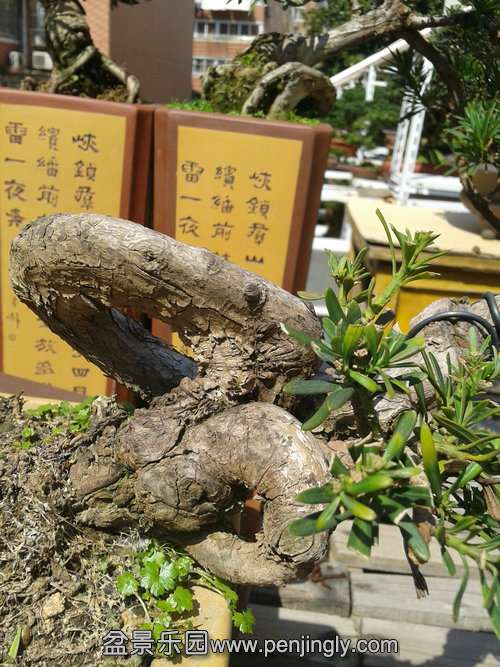 2014-03-21 13.06.35.jpg