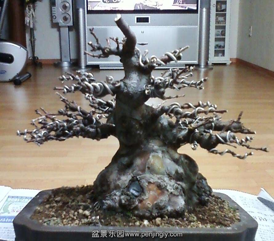 5F4.jpg