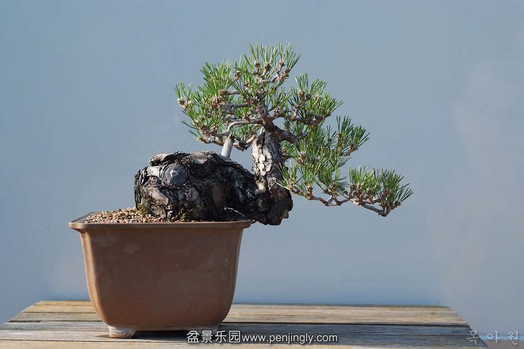 DSCF3915.jpg