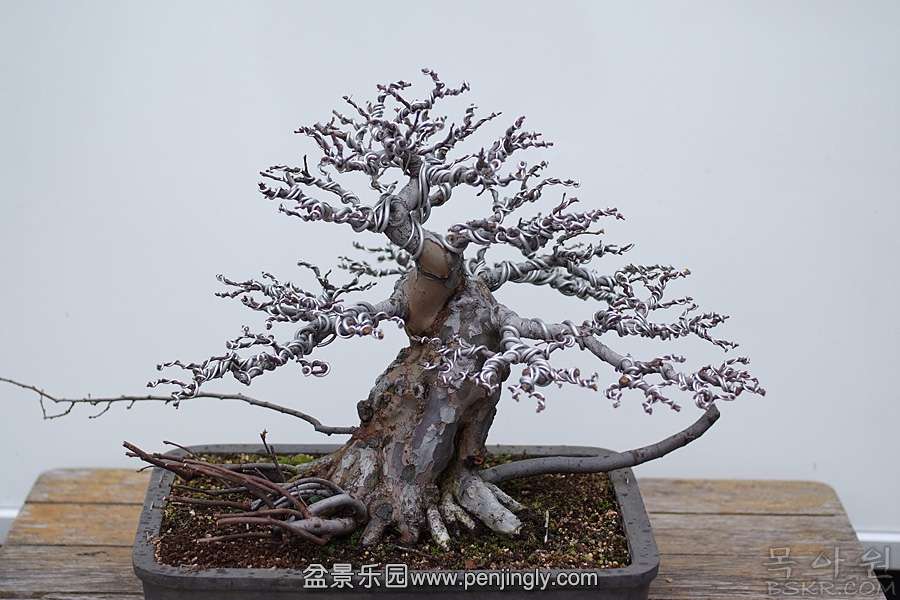 DSCF4160.jpg