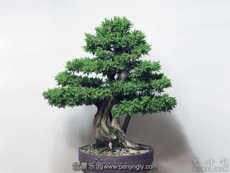 DSCF6588.jpg