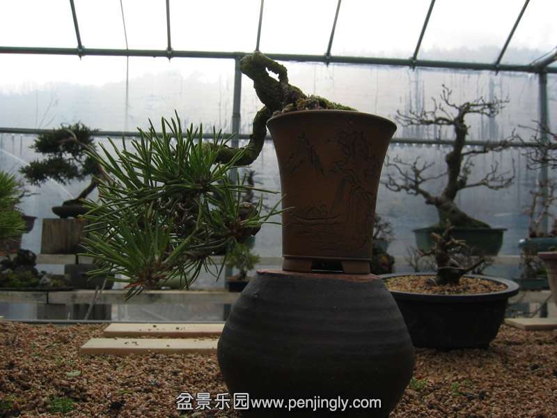 gs_031.jpg